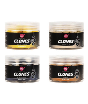 MAINLINE CLONES POP-UPS