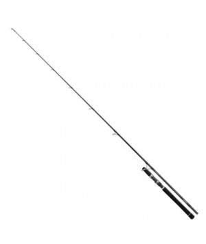 DAIWA SALTIST INSHORE