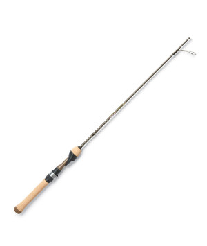 Trout Series