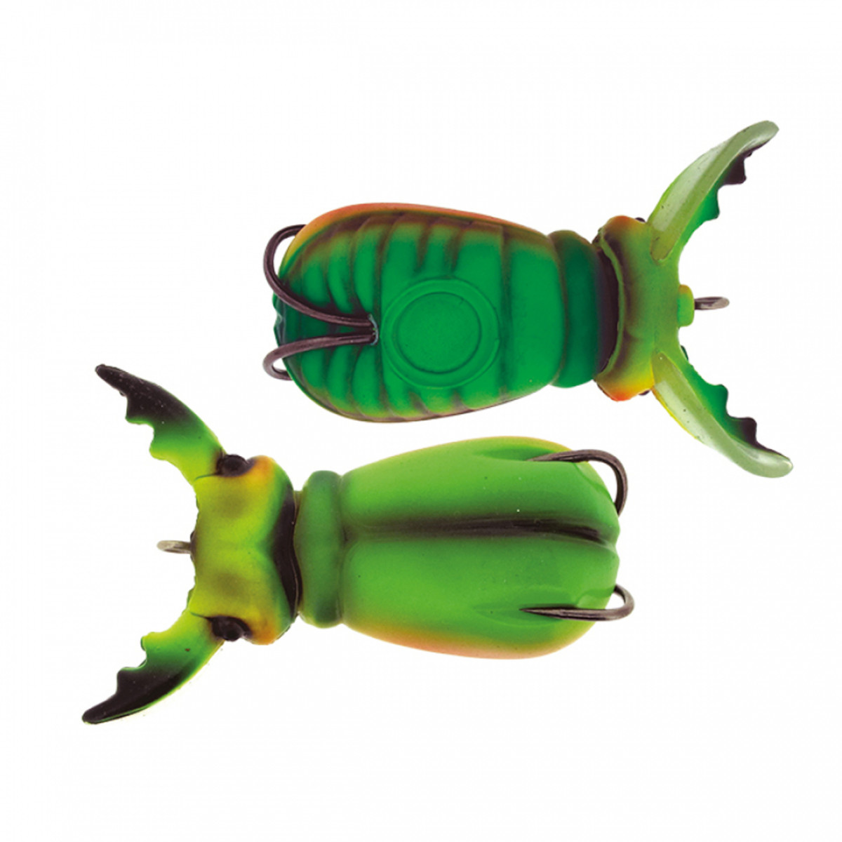 MOLIX SUPERNATO BEETLE