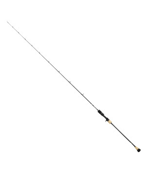 DAIWA SALTIGA SJ