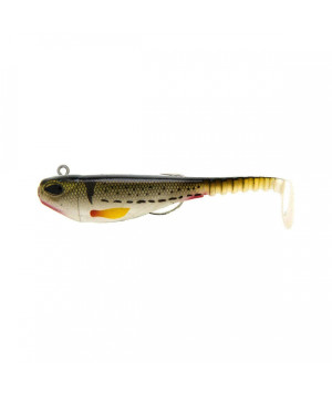 molix ss shad 4