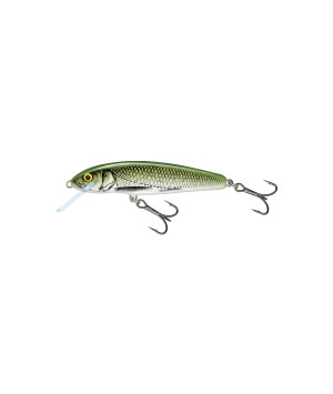 SALMO MINNOW 6S