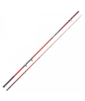 canna long casting italcanna vector a4