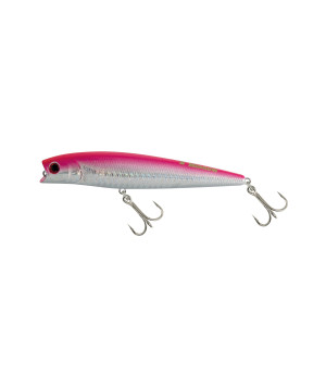 JATSUI TIGER MINNOW