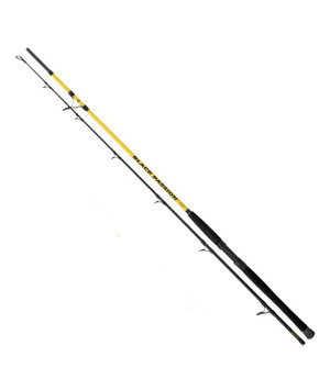 BLACK CAT BLACK PASSION G2 SPIN