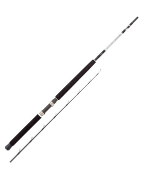 SHIMANO SPEEDMASTER AX BOAT SLIM