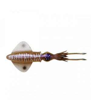  Savage Gear 3D LB Swim Squid 25 cm