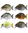 FISHUS ESPARRAL