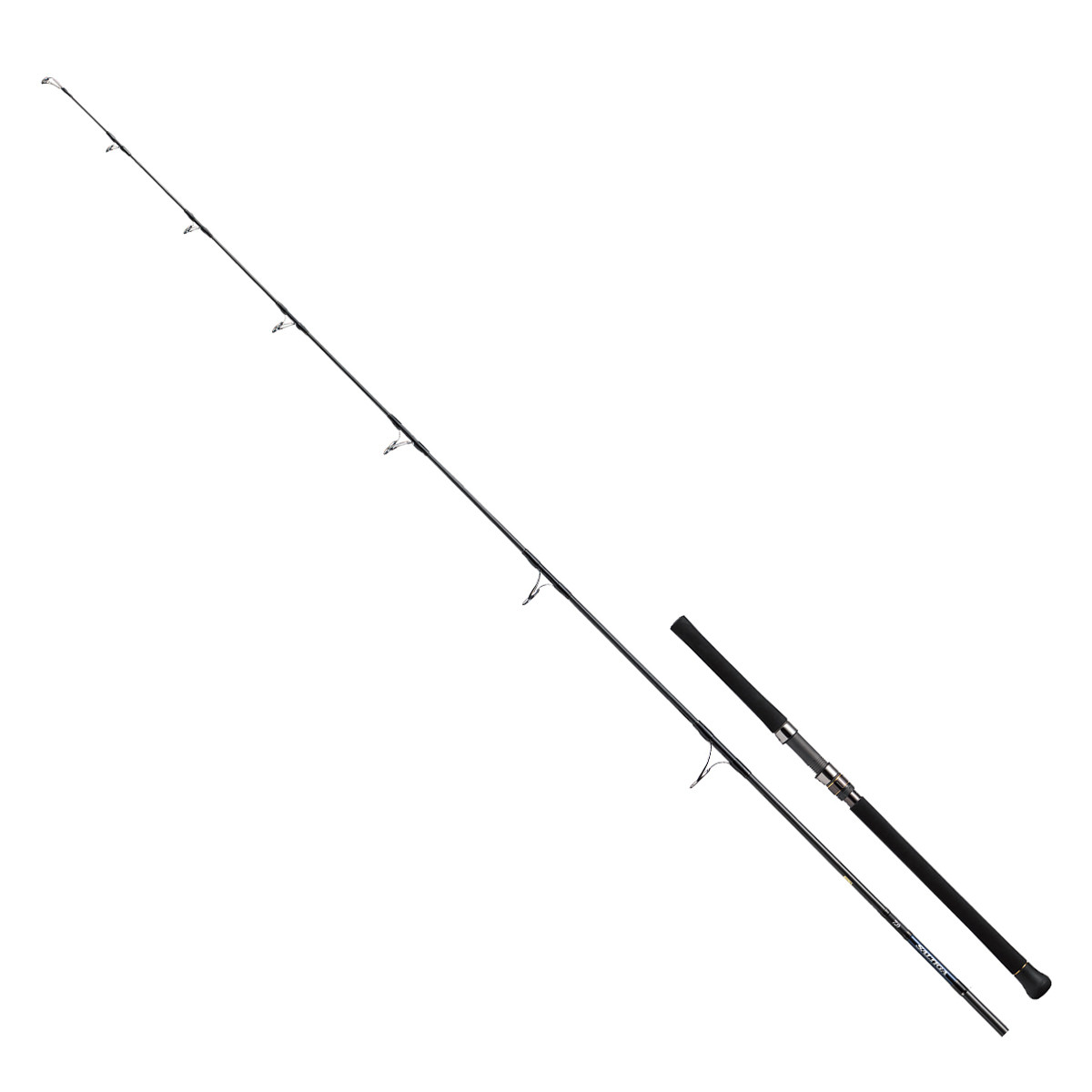 DAIWA 21 SALTIGA C