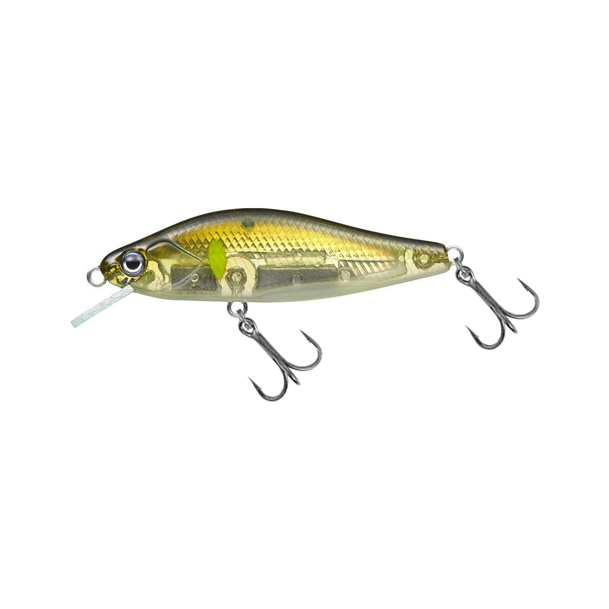 EVERGREEN NELMEZZO 50FS