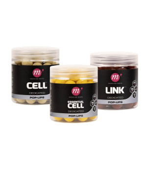 MAINLINE DELICATED POP-UPS