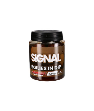 STARBAITS PC SIGNAL BOILIES IN DIP
