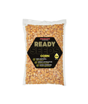 STARBAITS READY SEEDS CORN