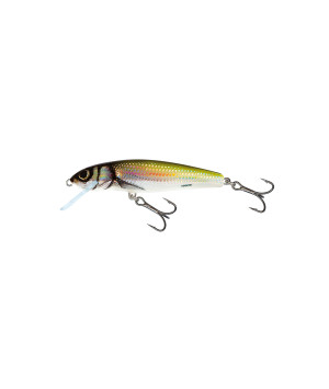 SALMO MINNOW 6F