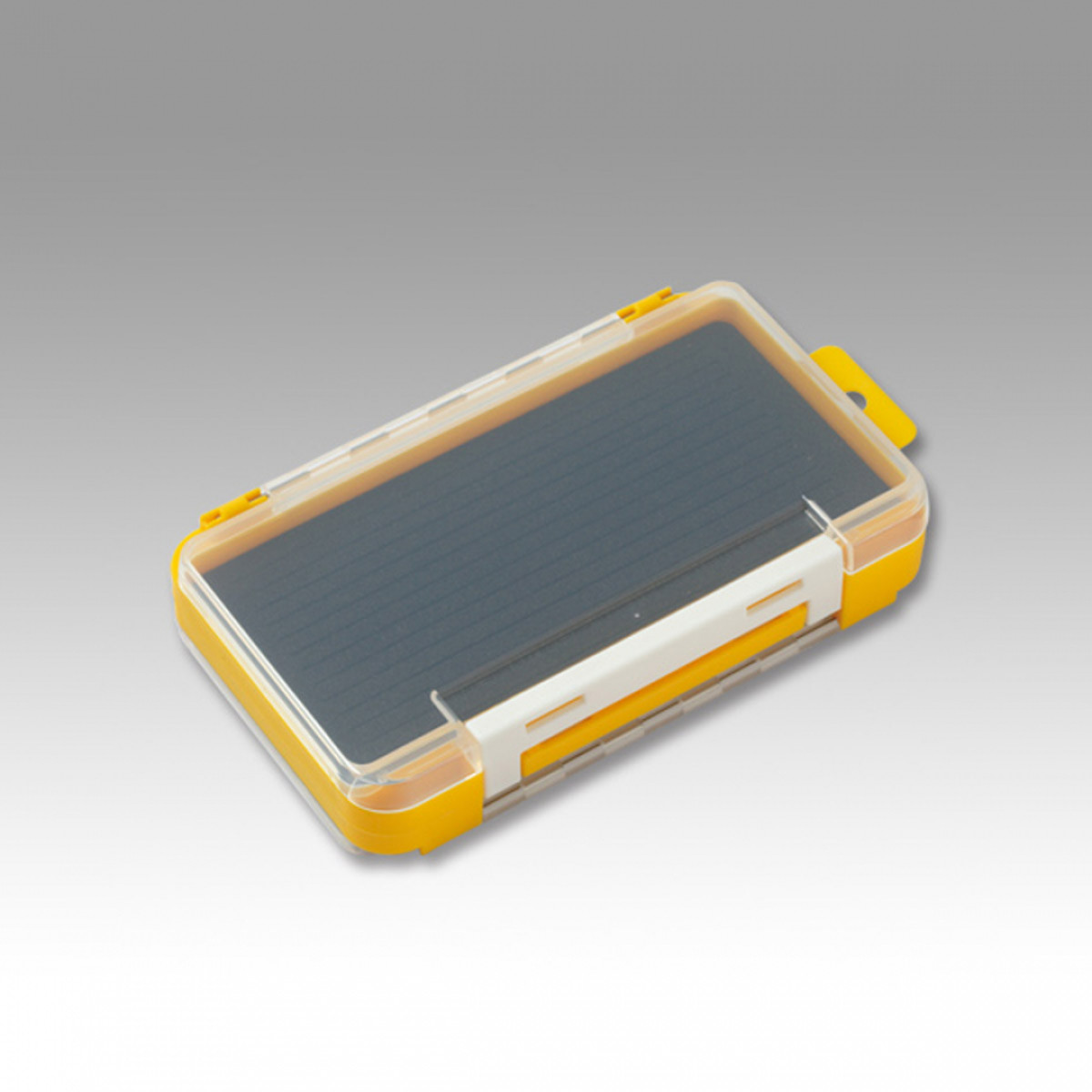 Rungun Case 1010 W2