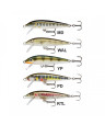 RAPALA COUNTDOWN 5