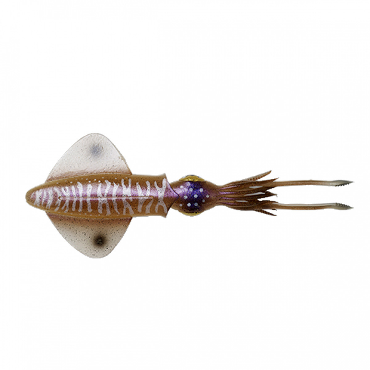 SAVAGE GEAR 3D LB SWIM SQUID 25CM